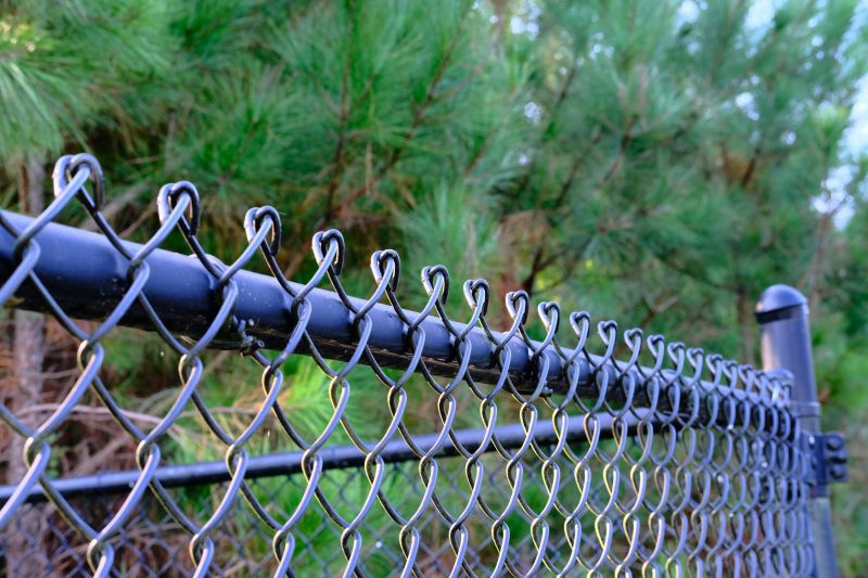 Galvanized Chain Link